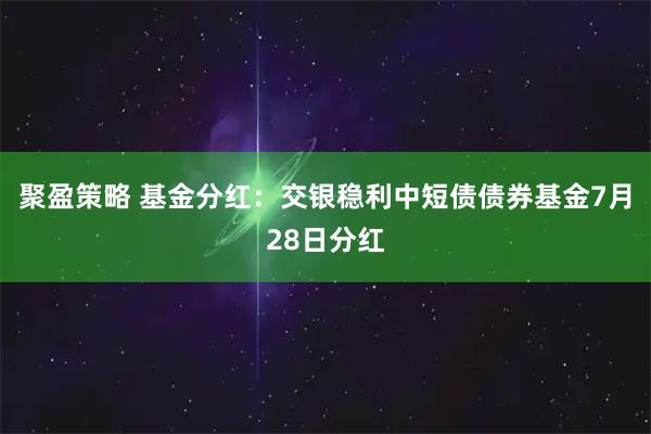 聚盈策略 基金分红：交银稳利中短债债券基金7月28日分红
